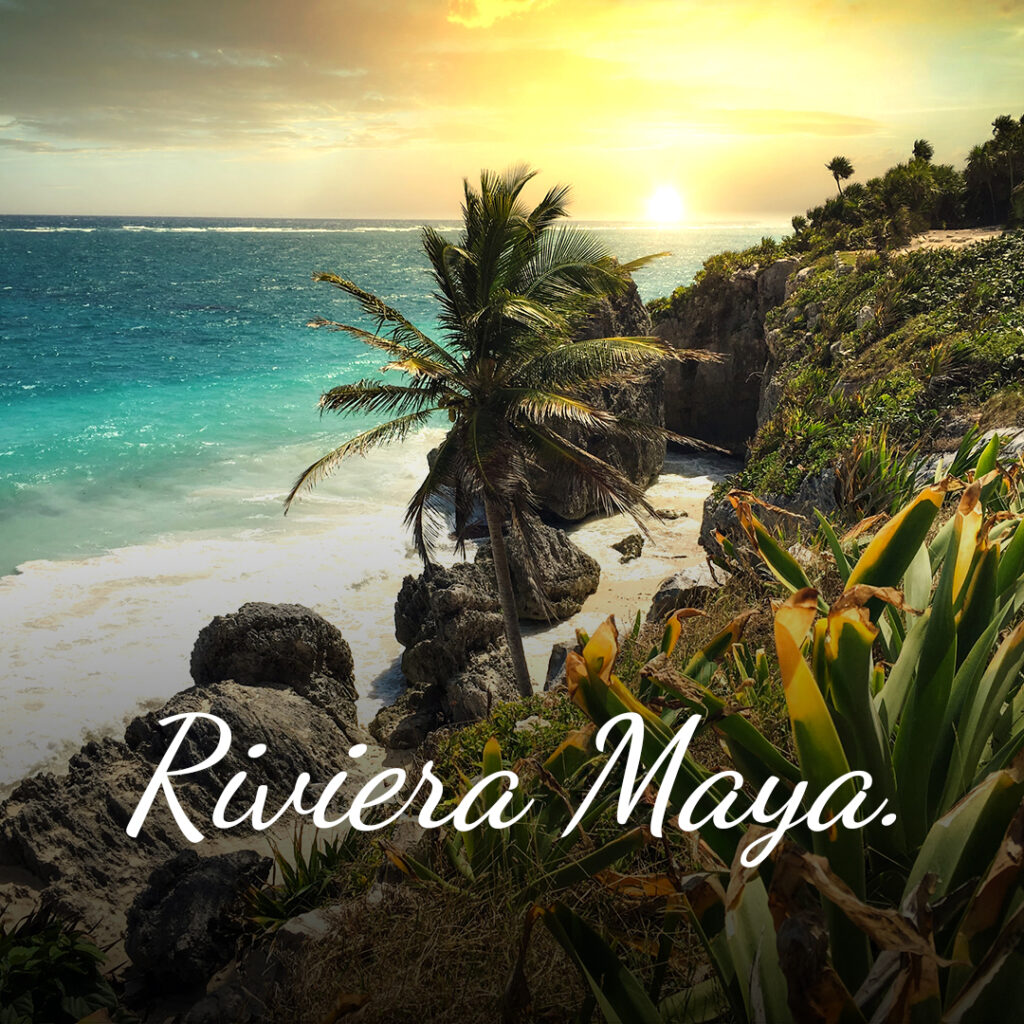 Riviera Maya Service